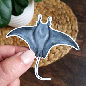 Manta Ray Sticker