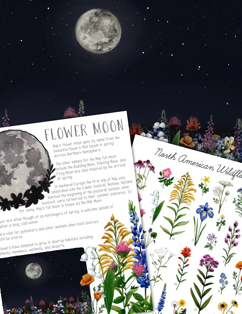 Spring Full Moon Bundle - Etsy