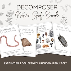 Op de afbeelding: Een bundel natuurstudiegidsen getiteld "Decomposer Nature Study Bundle". De gidsen behandelen regenwormen, bodemkunde, paddenstoelen en pissebedden. Elke gids bevat aquarel illustraties en de tekst "Mini Nature Study".