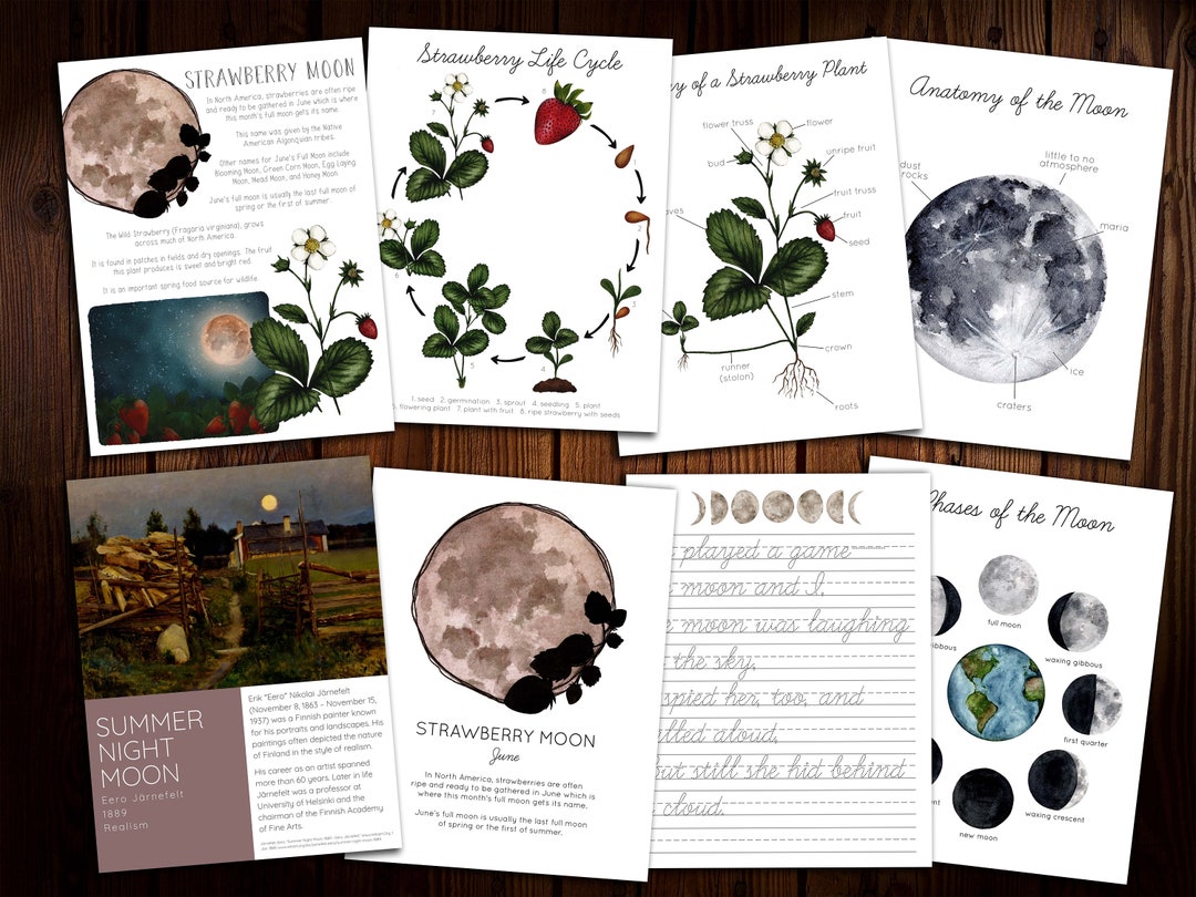 Strawberry Moon Mini Nature Study - Etsy