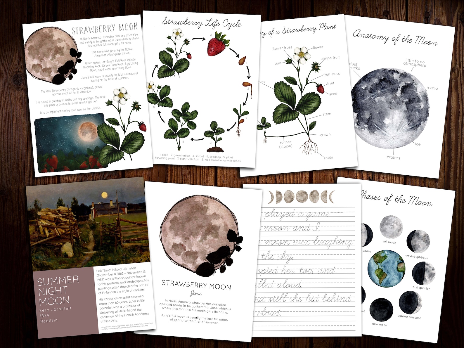 Strawberry Moon Mini Nature Study - Etsy