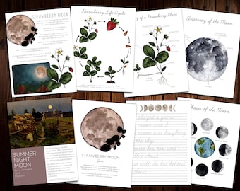 Strawberry Moon Mini Nature Study