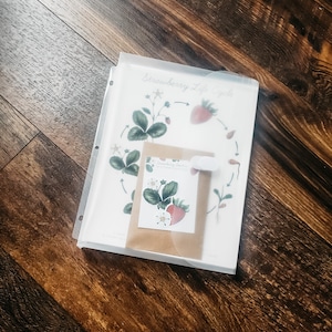 May include: A white sheet of paper with a diagram of the strawberry life cycle. The diagram shows the stages of growth from seed to fruit. The paper is in a clear plastic folder with holes for a binder.