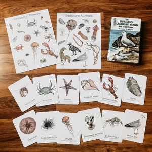 Seashore Animals Nature Study Bundle