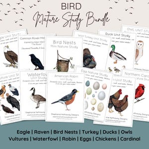 Op de afbeelding: Een set met printbare natuurstudie-kaarten met verschillende vogels, waaronder een adelaar, een raaf, een roodborstje, een kalkoen, een eend, een uil, een gier, watervogels, een kip en een kardinaal. Elke kaart bevat een kleurrijke illustratie en tekst.