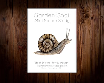 Garden Snail Mini Nature Study