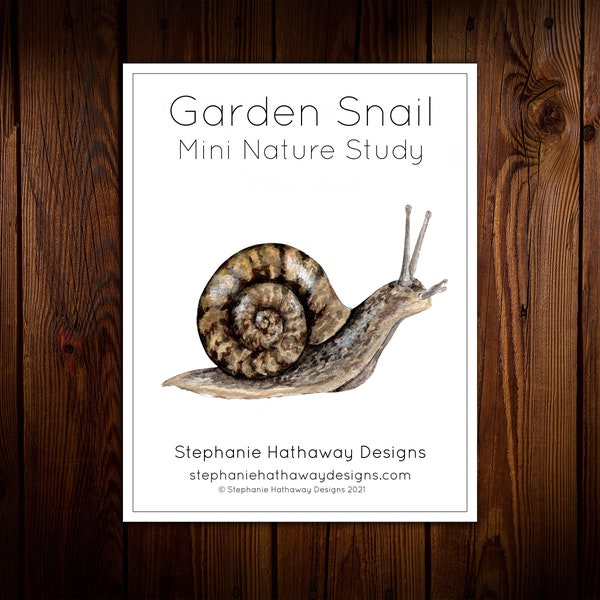 Garden Snail Mini Nature Study