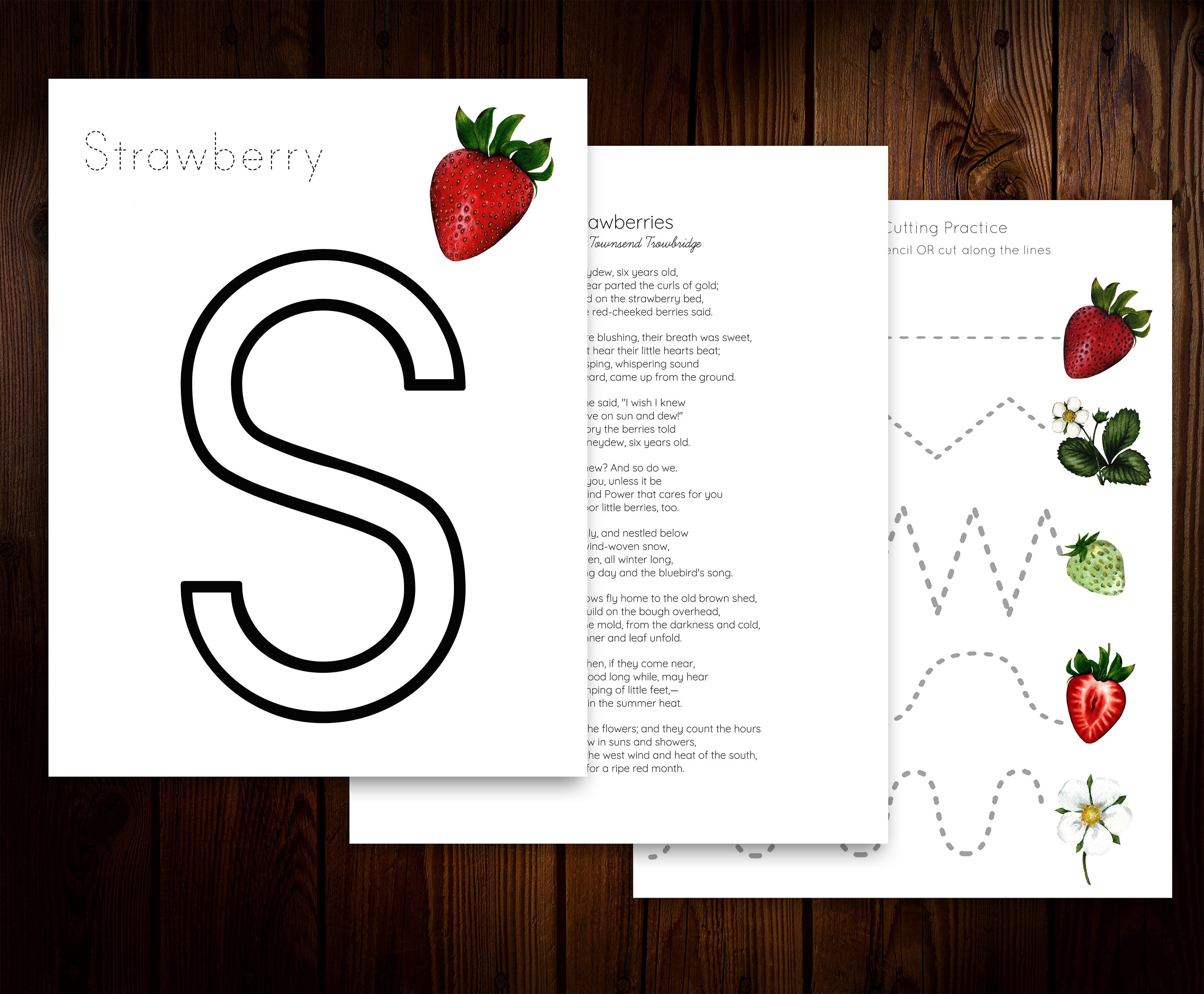 Strawberry Mini Nature Study - Etsy