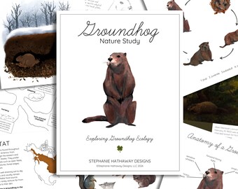 May include: Educational printables about groundhogs, featuring a central watercolour illustration of a brown groundhog. The surrounding pages contain diagrams and text detailing groundhog life, anatomy, and habitat. The title reads "Groundhog Nature Study".