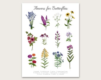 Flowers for Butterflies Art Print