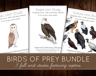 Birds of Prey Bundle