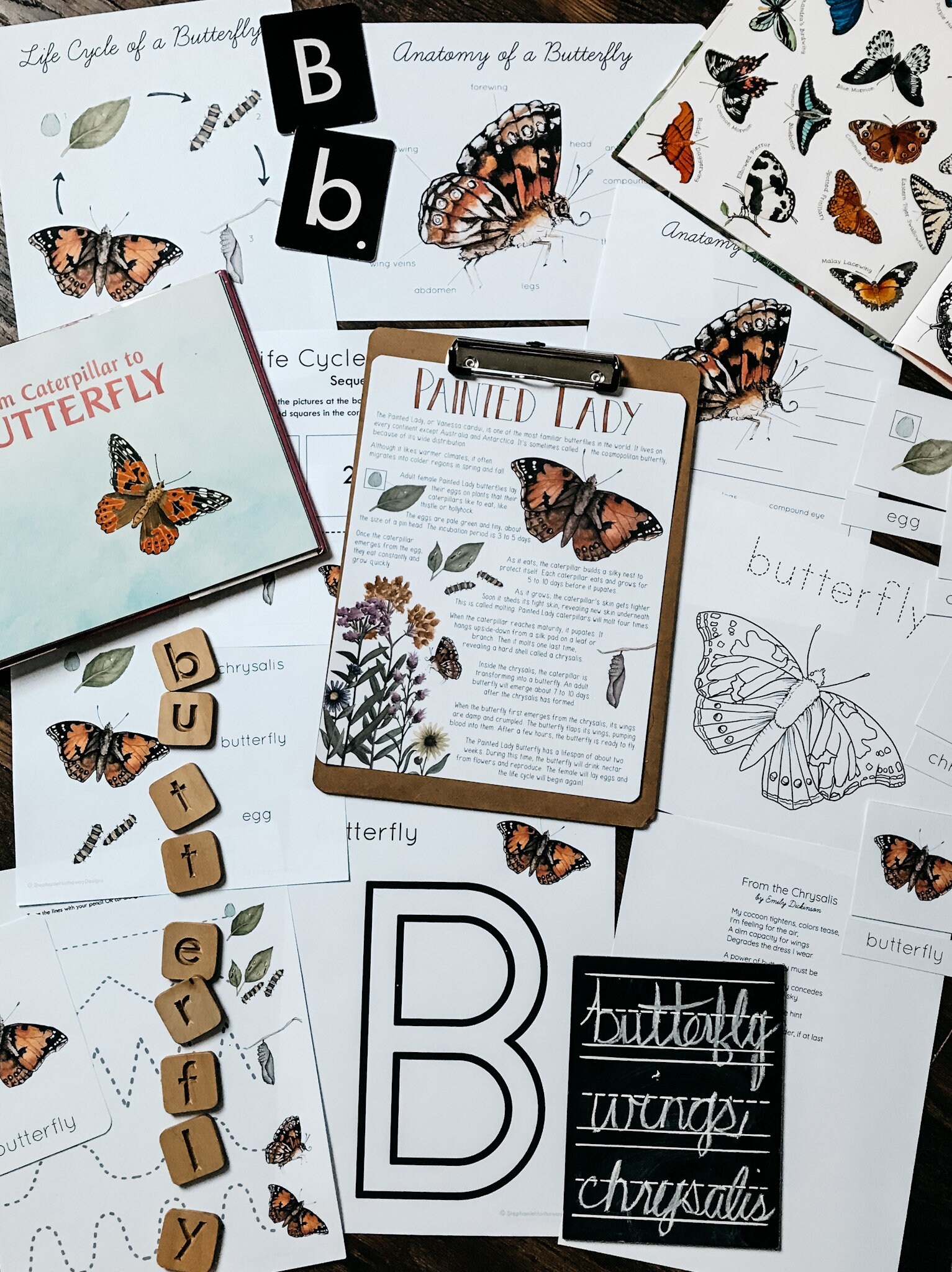 Minibeast Nature Study Vol. 1 - Etsy