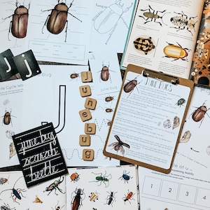 Op de afbeelding: Een close-up van een leeractiviteit voor kinderen met een juni-keverthema. De activiteit omvat een afdrukbaar werkblad met een illustratie van een juni-kever, een set houten lettertegels die het woord "juni" spellen en een zwart schoolbord met de woorden "juni-kever, kever" geschreven in witte krijt.