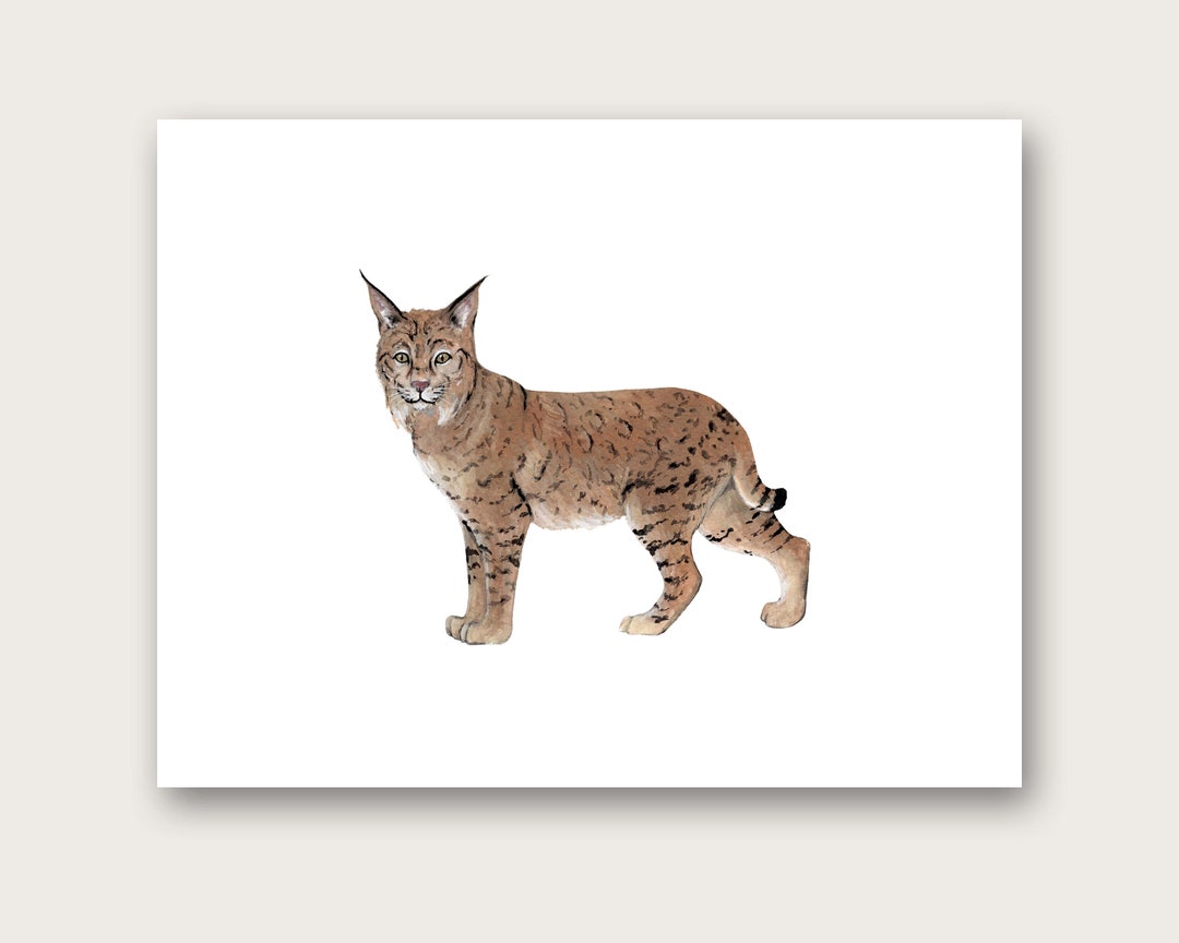 Bobcat Art Print Etsy 日本
