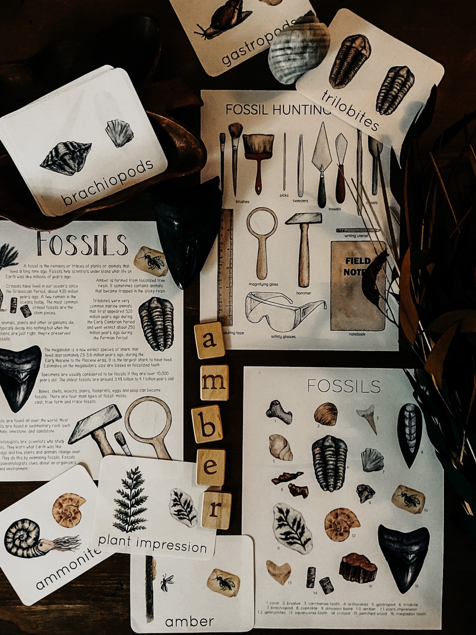 Fossils Exploration Unit Study - Etsy