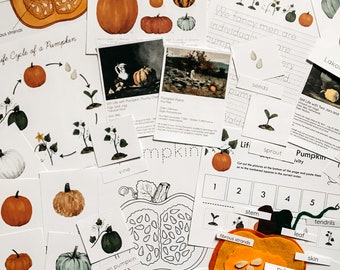 Pumpkin Mini Unit Study