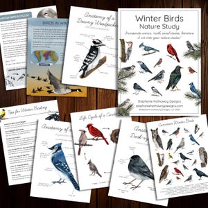 May include: A collection of educational printables about winter birds. The set includes pages on bird ecology, bird identification, and anatomy, with illustrations of various bird species. The title "Winter Birds Nature Study" is displayed prominently.