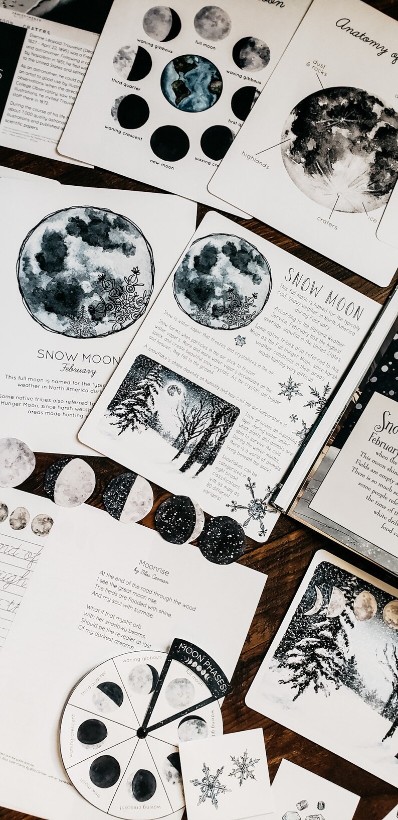 Snow Moon Mini Nature Study - Etsy