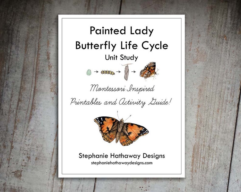 May include: A printable unit study for kids about the life cycle of a painted lady butterfly. The study includes a diagram of the butterfly's life stages, from egg to adult, and a butterfly illustration. The text reads "Painted Lady Butterfly Life Cycle Unit Study Montessori Inspired Printables and Activity Guide! Stephanie Hathaway Designs stephaniehathawaydesigns.com"