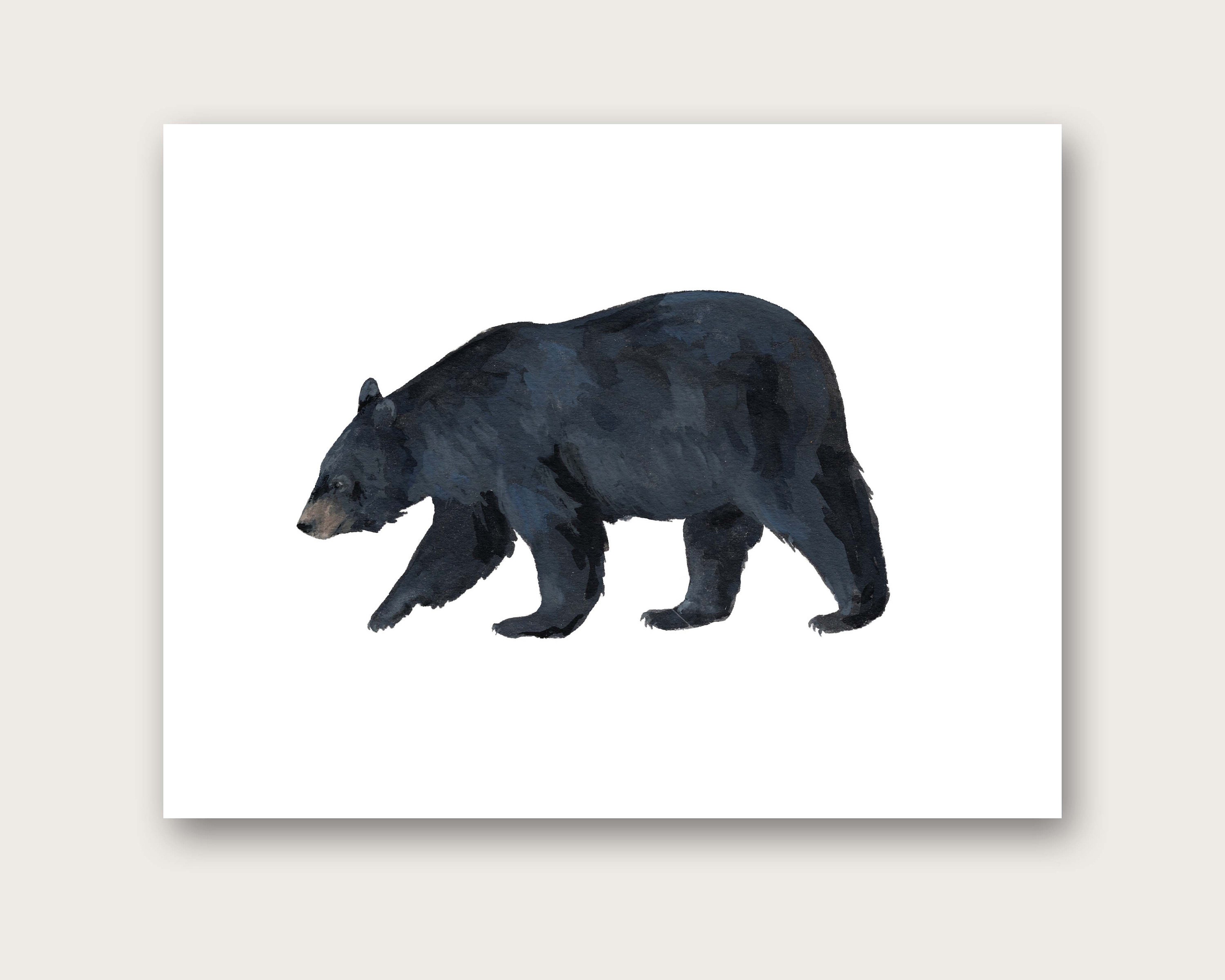 Black Bear Art Print -  UK