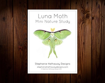 Luna Moth Mini Nature Study