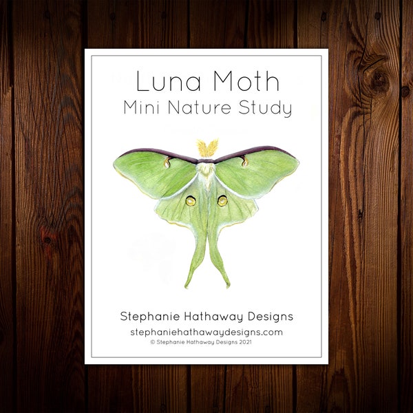 Luna Moth Mini Nature Study