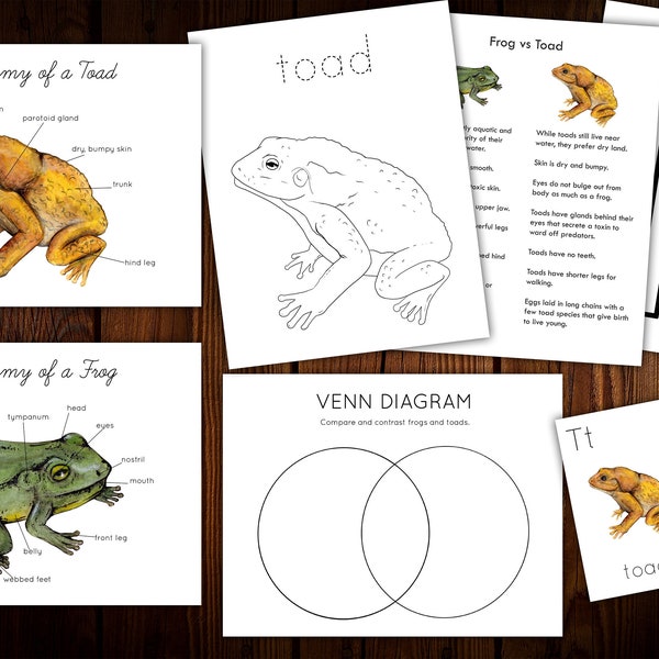 Frog and Toad Mini Nature Study