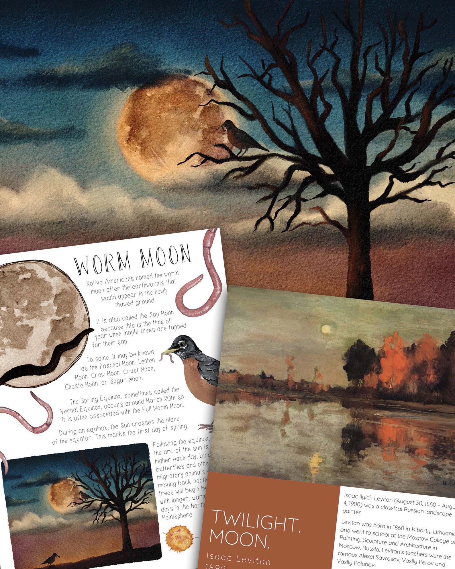 Worm Moon Mini Nature Study - Etsy