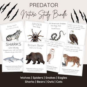 May include: A set of printable nature study unit cards featuring illustrations of various predators, including a gray wolf, spider, snake, eagle, shark, brown bear, owl, and cat. The cards are designed to incorporate science, math, social studies, and literature into nature studies.