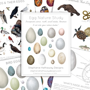 Ei Naturstudie