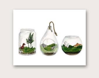 Moss Terrarium Art Print