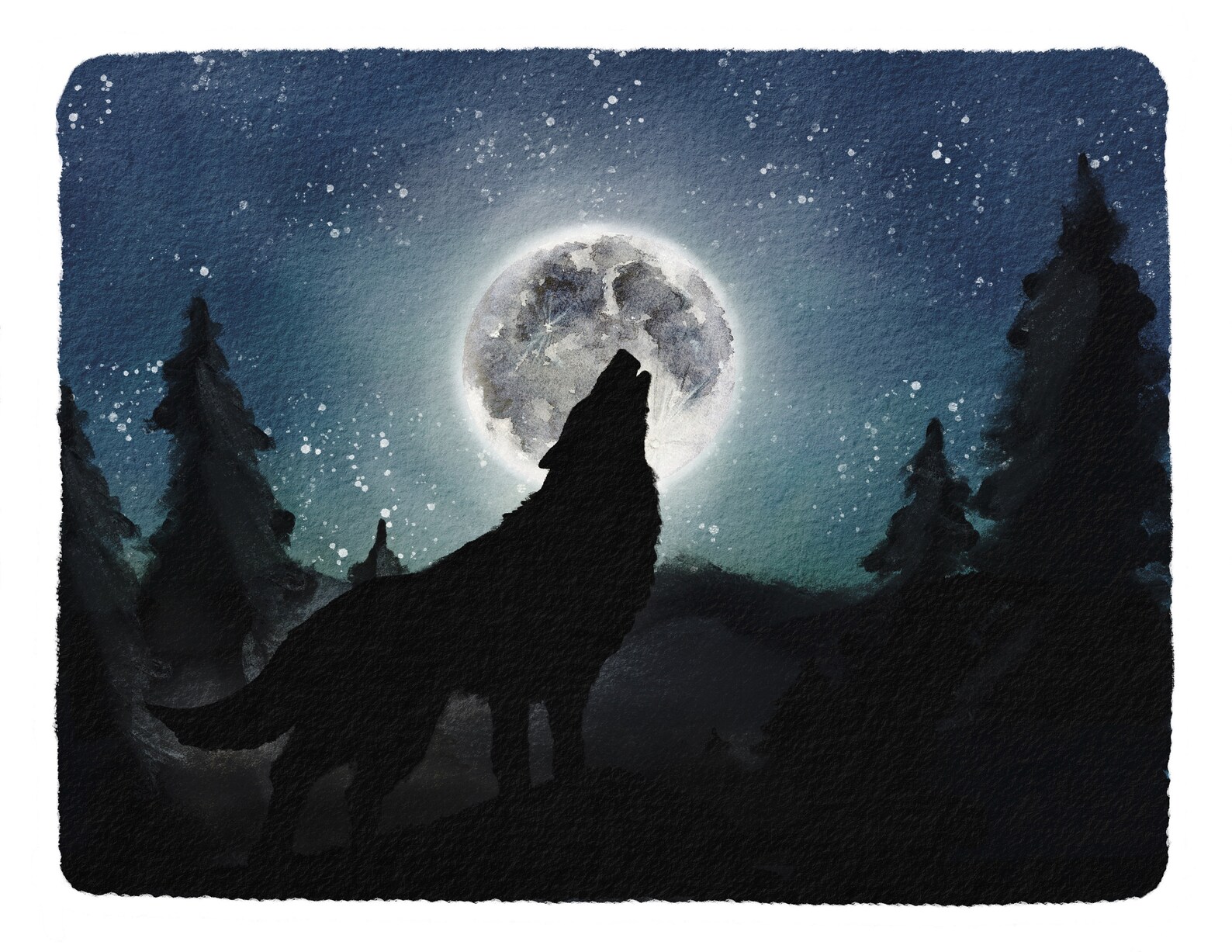 Wolf Moon Mini Nature Study - Etsy