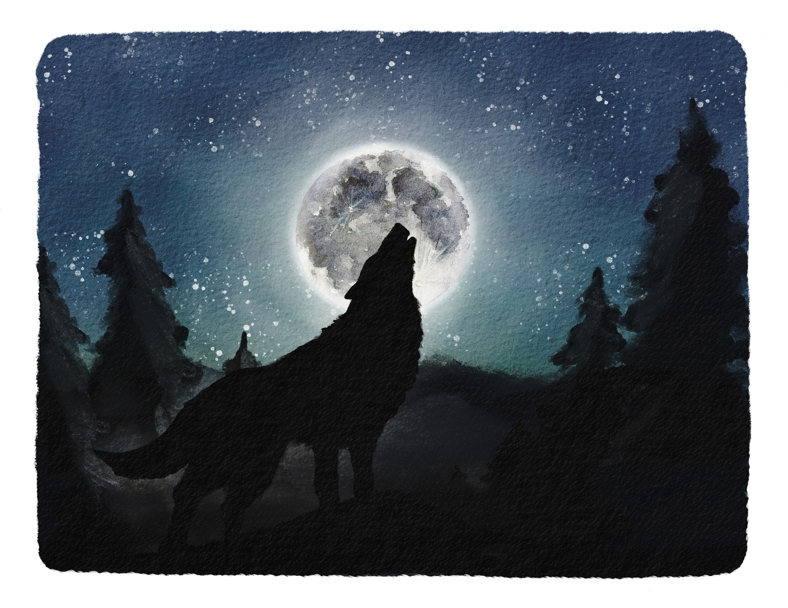 Wolf Moon Mini Nature Study - Etsy