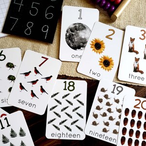 May include: A set of 20 flash cards with numbers 1 through 20. Each card features a different illustration and the number and word for the number. The illustrations include a moon, sunflowers, foxes, beetles, robins, pine needles, snails, and pine cones.