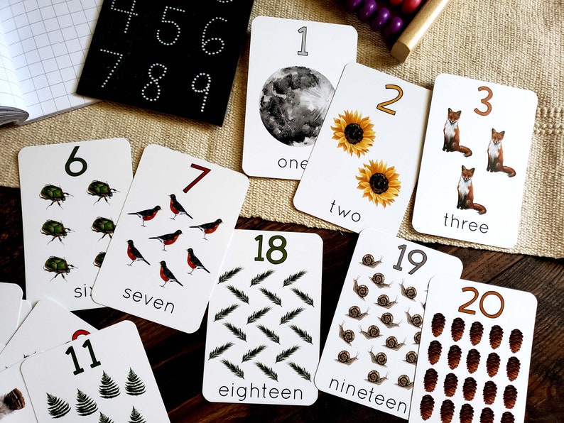 May include: A set of 20 flash cards with numbers 1 through 20. Each card features a different illustration and the number and word for the number. The illustrations include a moon, sunflowers, foxes, beetles, robins, pine needles, snails, and pine cones.