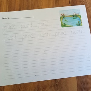 Pond Unit Study Bundle - Etsy