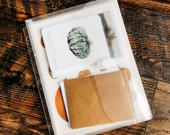 Pumpkins Unit Study Physical Bundle