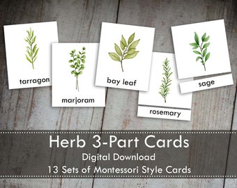 Kitchen Herbs Montessori 3-Part Cards