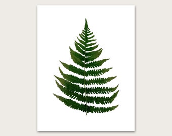 Fern Art Print