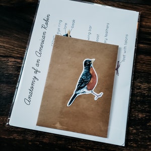 Robin Mini Study Physical Bundle