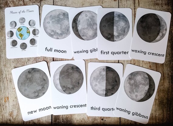 Moon Phases Flash Cards Homeschool Educational Classroom Decor | Etsy