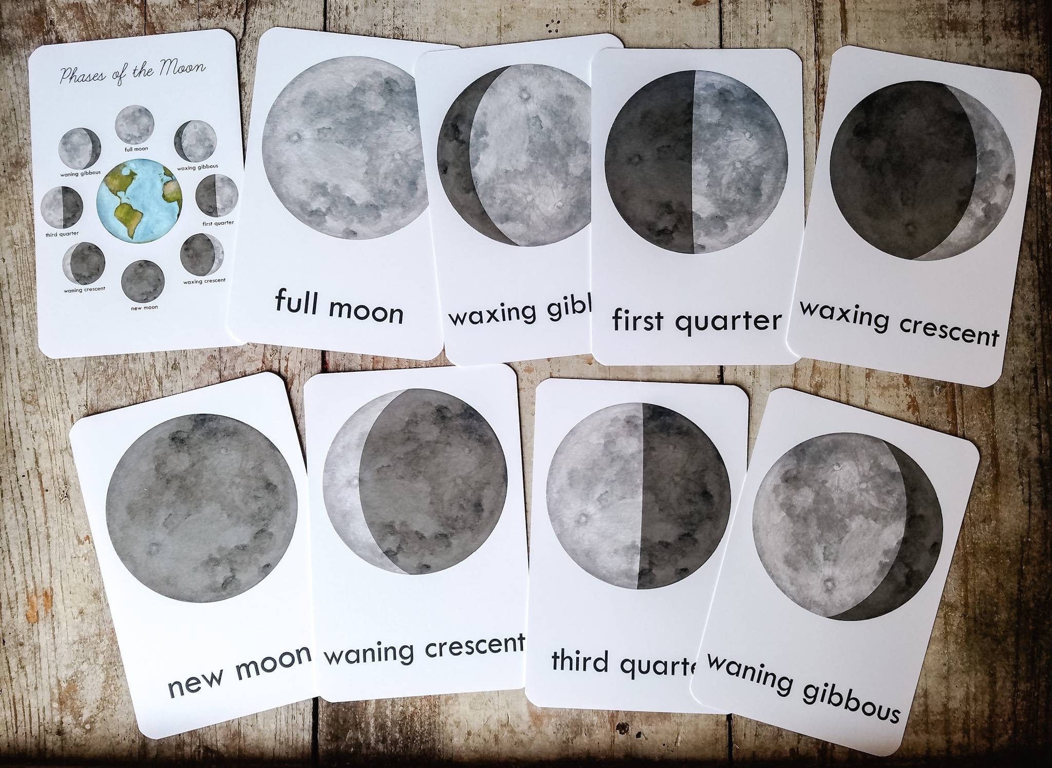 Moon Phases Flash Cards Homeschool Educational Classroom Decor | Etsy