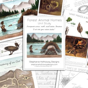 Puede incluir: Un estudio de unidad educativo imprimible para niños sobre los hogares de los animales del bosque. Las ilustraciones coloridas presentan una presa de castor, una madriguera de zorro, un nido de pájaro y un hormiguero. El texto incluye las palabras "Forest Animal Homes Unit Study" y "Incorpora ciencia, matemáticas, estudios sociales, literatura y arte en tus estudios de la naturaleza!"