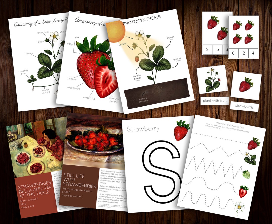 Strawberry Mini Nature Study - Etsy