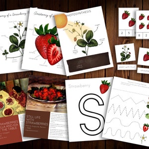 May include: A set of educational printable worksheets for children featuring a strawberry plant, a still life painting of strawberries, and a tracing activity with the letter 'S'.