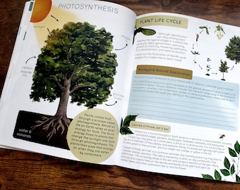 May include: An open book with colorful illustrations explaining the process of photosynthesis and the plant life cycle. The book includes text about the process of photosynthesis and the different stages of a plant's life cycle. The book also includes a section on backyard nature exploration, encouraging readers to observe plants in their own backyards.