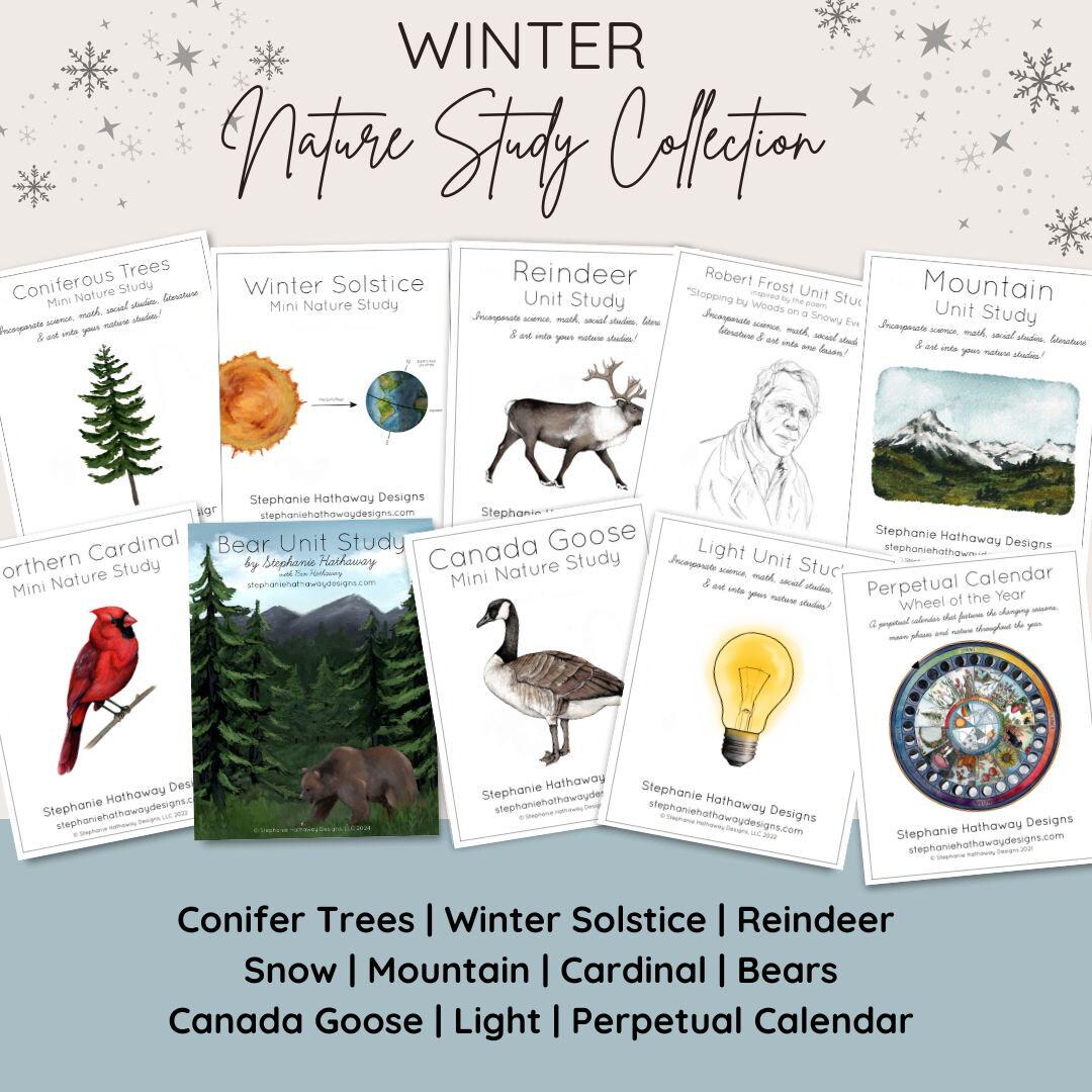 Study Collection Winter Nature Study Collection - Etsy