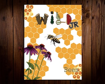 WILD Mag JR : Les Abeilles