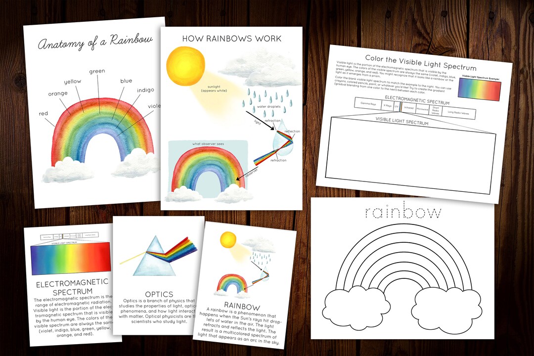 Rainbow Mini Nature Study - Etsy