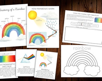 Rainbow Mini Nature Study